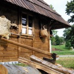 Srpsko viteško borenje "SVIBOR", Kalemegdan