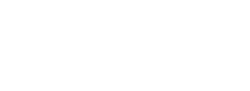 wolt logo